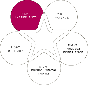 ren-clean-bio-active-skincare_clip_image002