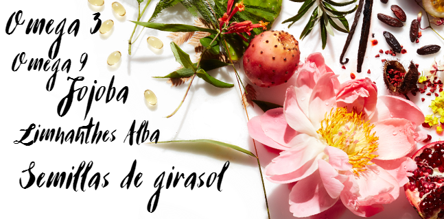 top_right-2fbba78a0d538c938630ca1affadf5a8-1