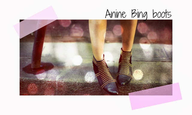 Clones Anine Bing y LV